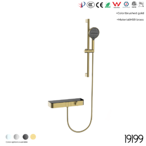 19199A Shower Head Set