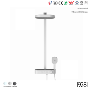 19281 Shower Head Set