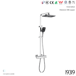 19319 Shower Head Set