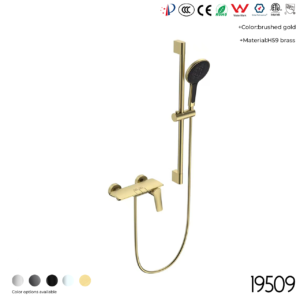 19509 Shower Head Set