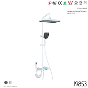 19853 Shower Head Set