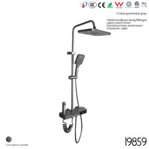 19859 Shower Head Set