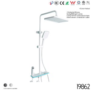 19862 Shower Head Set