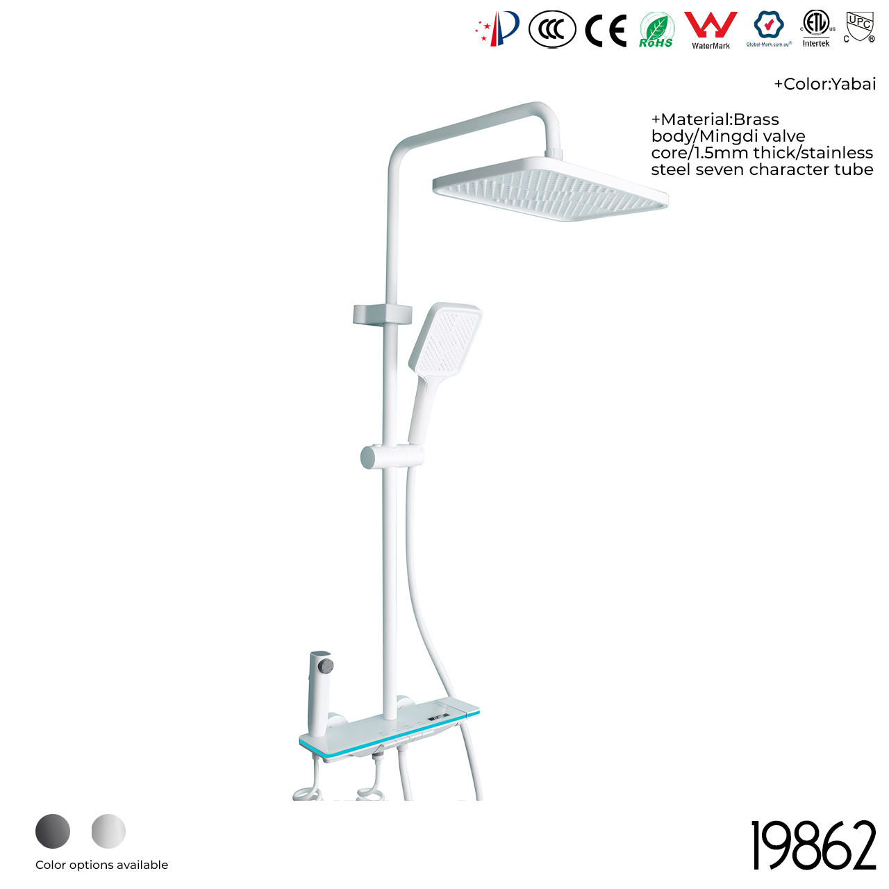 19862 Shower Head Set