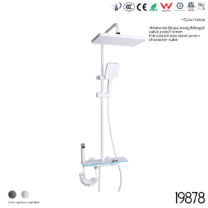 19878 Shower Head Set